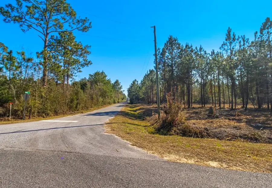 TBD Luke Ford Rd, Wewahitchka, FL 32465 - #2
