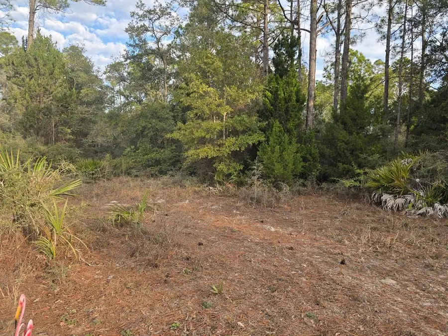 233 Apalachee St, Carrabelle, FL 32323 - #2