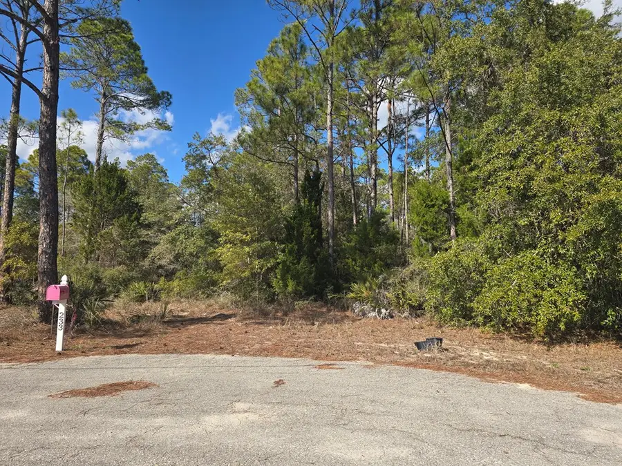 233 Apalachee St, Carrabelle, FL 32323 - #3