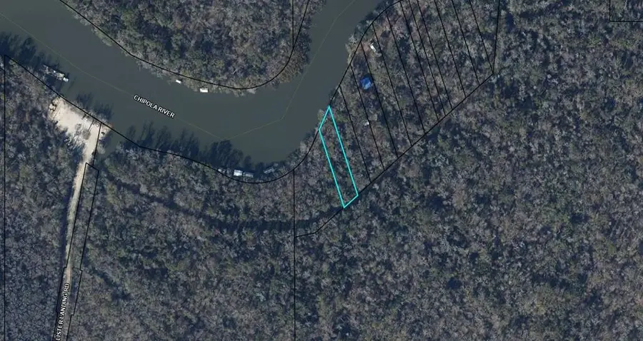 2377 Chipola River, Wewahitchka, FL 32465 - #2