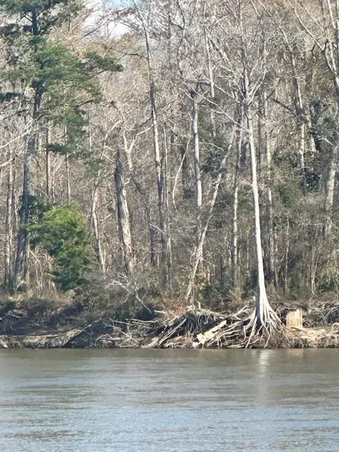 2377 Chipola River, Wewahitchka, FL 32465 - #3