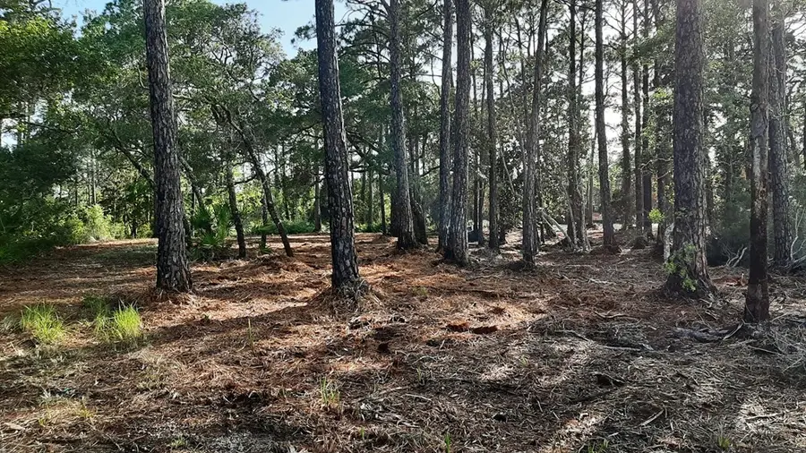 2970 Pristine Dr, Carrabelle, FL 32322 - #2