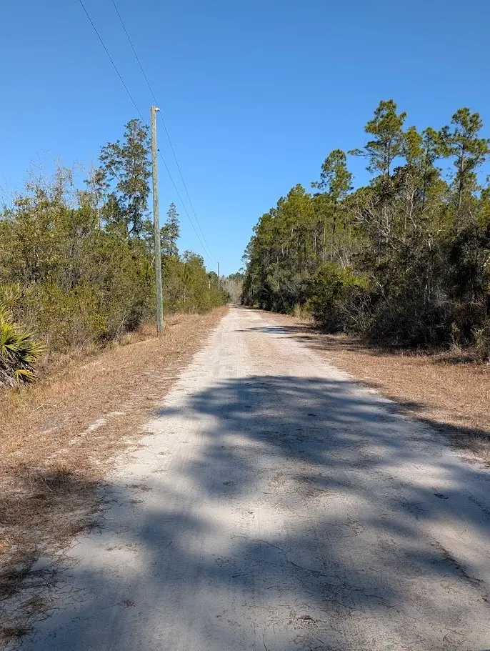 846-6B Hickory Hammock Rd, Carrabelle, FL 32322 - #2