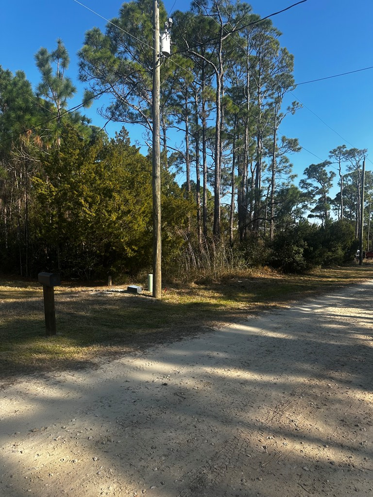 315 Howell St, Saint George Island, FL 32328 - #3