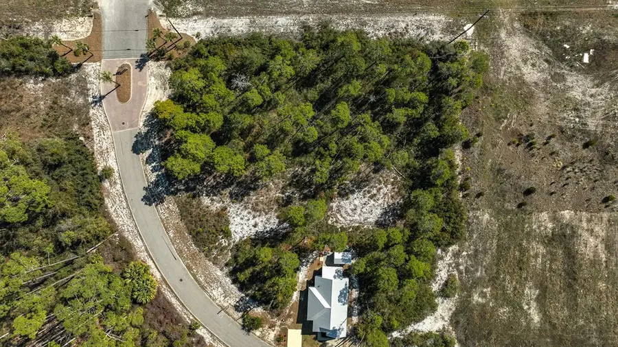 124 Plantation Dr, Carrabelle, FL 32322 - #3