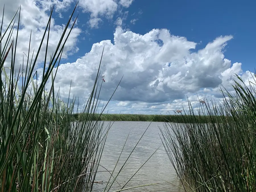 Lot 16 Chellsey St, Wewahitchka, FL 32465 - #3