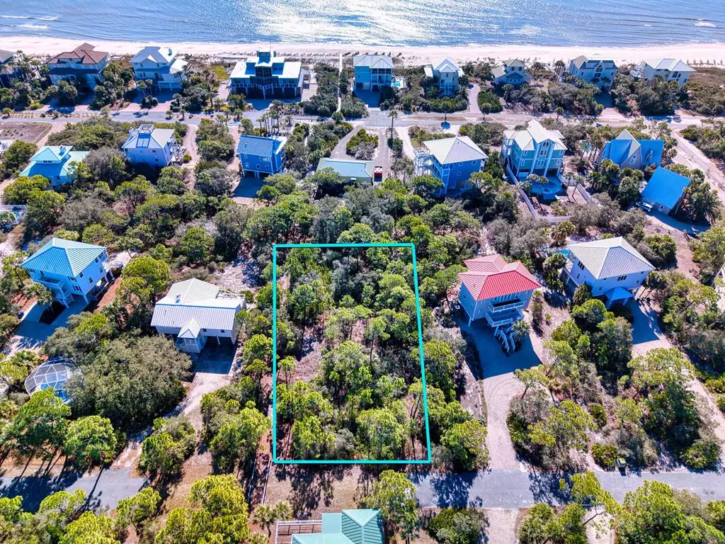1816 Suzie Ct, Saint George Island, FL 32328 - #1