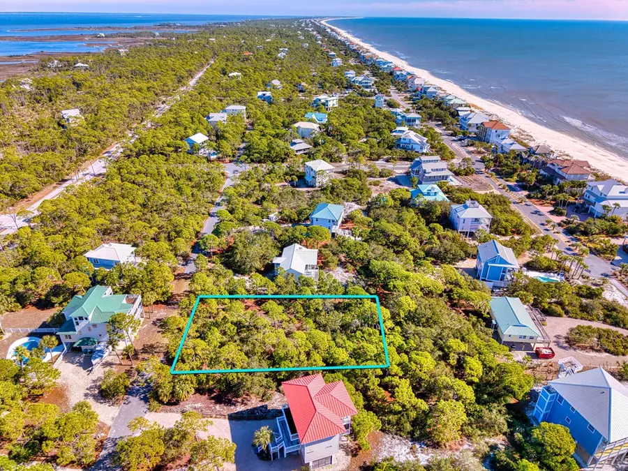 1816 Suzie Ct, Saint George Island, FL 32328 - #2