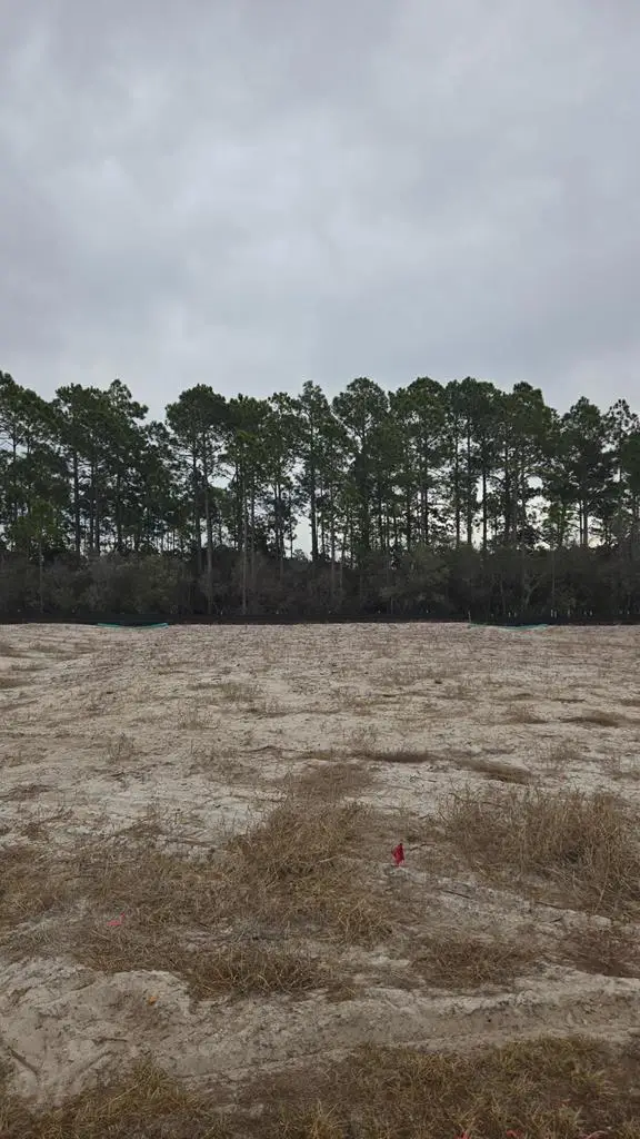 1873 Backwater Rd, Port Saint Joe, FL 32456 - #2