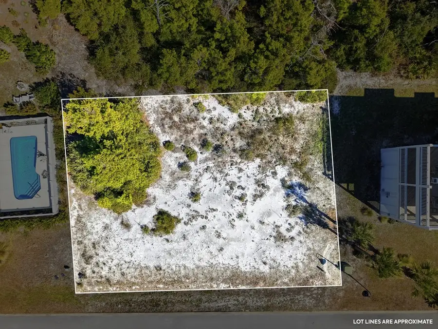 226 Seagrass Cir, Cape San Blas, FL 32456 - #2