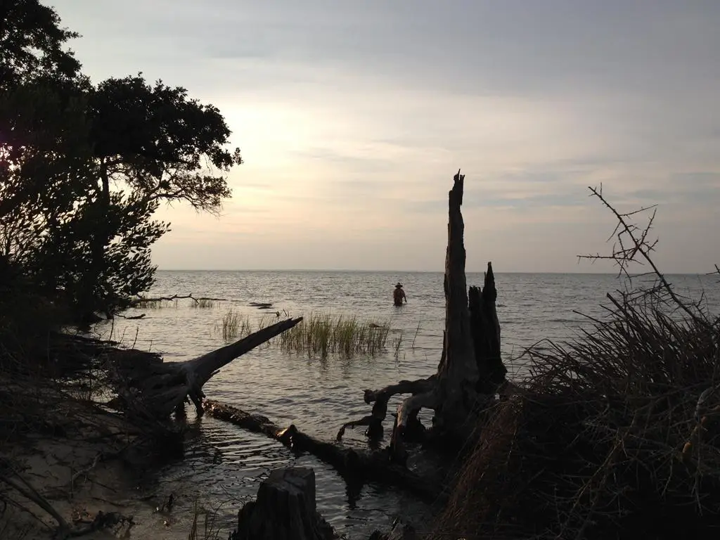 1431 Dove Ln, Saint George Island, FL 32328 - #1