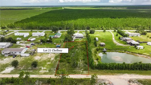 Lot 21 Chellsey St, Wewahitchka, FL 32465