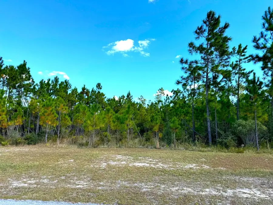 Lot 17 Wide Water Cir, Wewahitchka, FL 32465 - #3