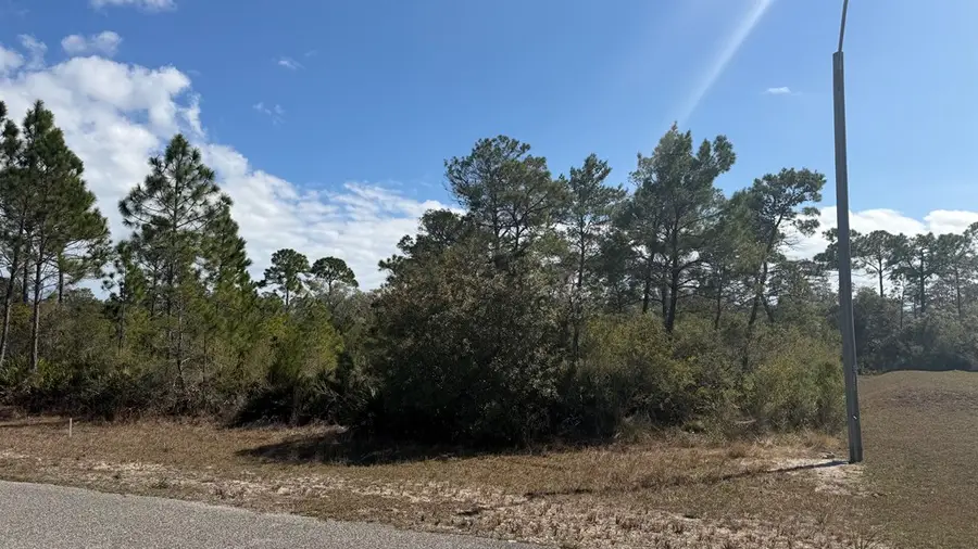 339 Blue Heron Dr, Eastpoint, FL 32328 - #3