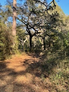 0 Sopchoppy Hwy, Sopchoppy, FL 32358 - #2