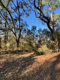 0 Sopchoppy Hwy, Sopchoppy, FL 32358 - #3