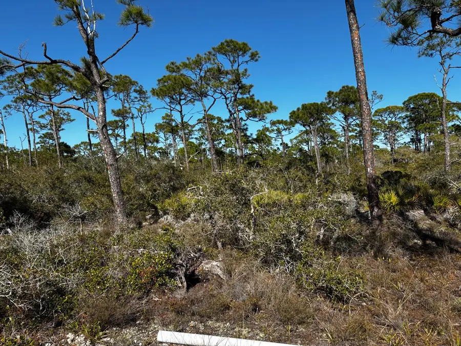 1364 Acacia Dr, Saint George Island, FL 32328 - #3