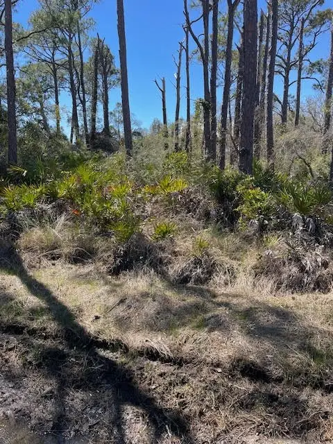 308 Quinn St, Saint George Island, FL 32328 - #2