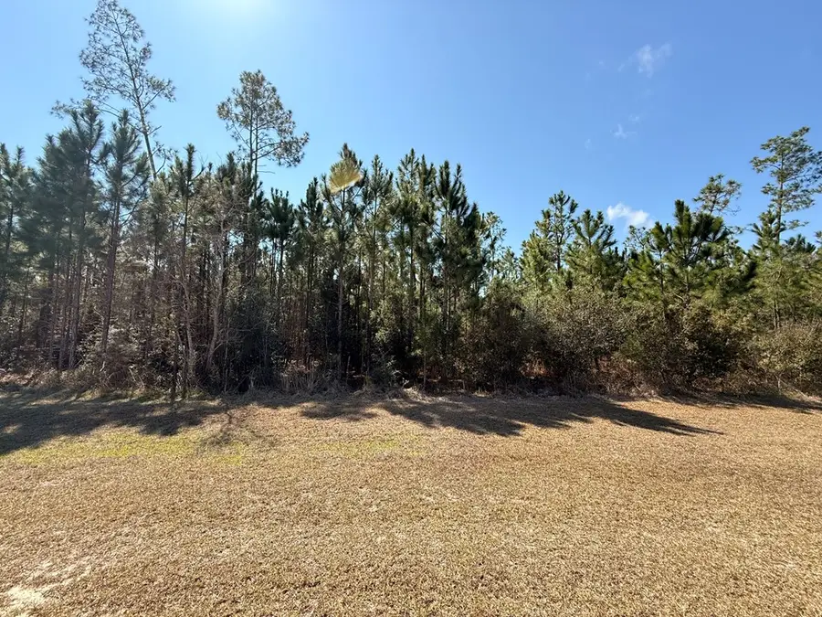 Lot 179 Wide Water Cir, Wewahitchka, FL 32465 - #3