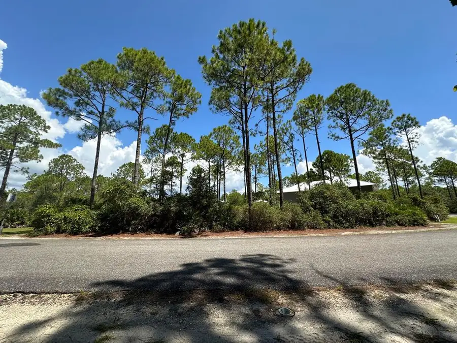 147 Lightning Bug Ln, Saint Teresa, FL 32358 - #2