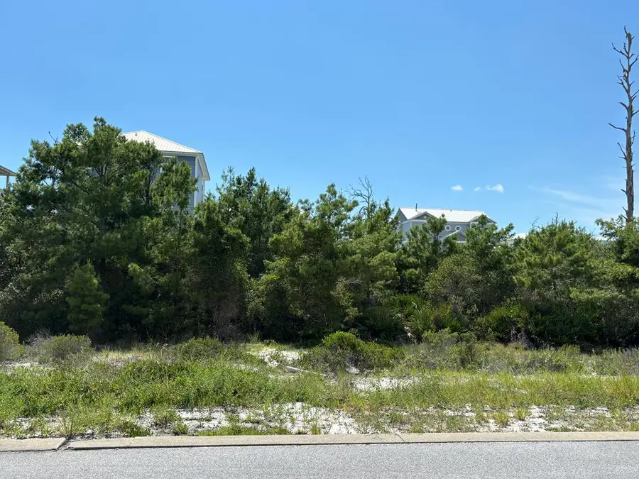 229 Seagrass Cir, Cape San Blas, FL 32456 - #2
