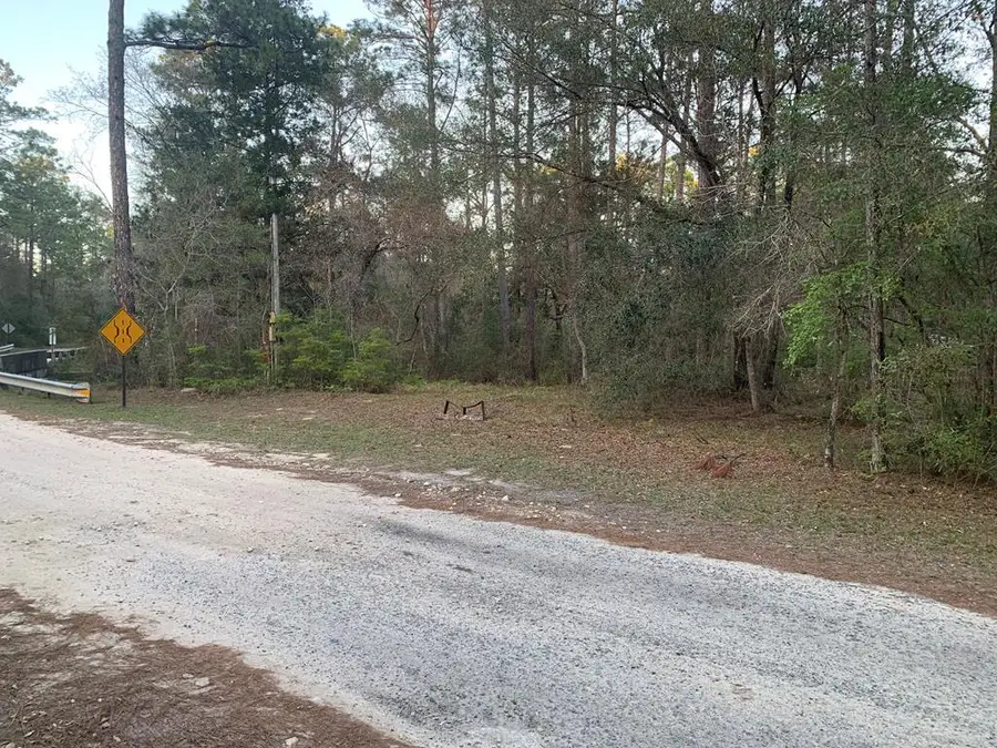 Lot 11 Buckhorn Creek Rd, Sopchoppy, FL 32358 - #2