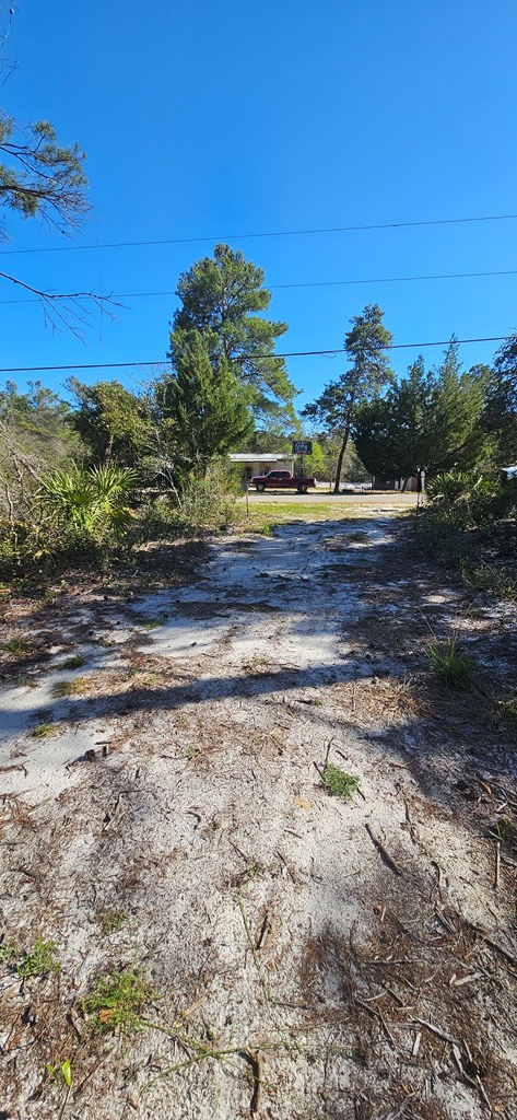 2003 Lighthouse Rd, Carrabelle, FL 32322 - #3