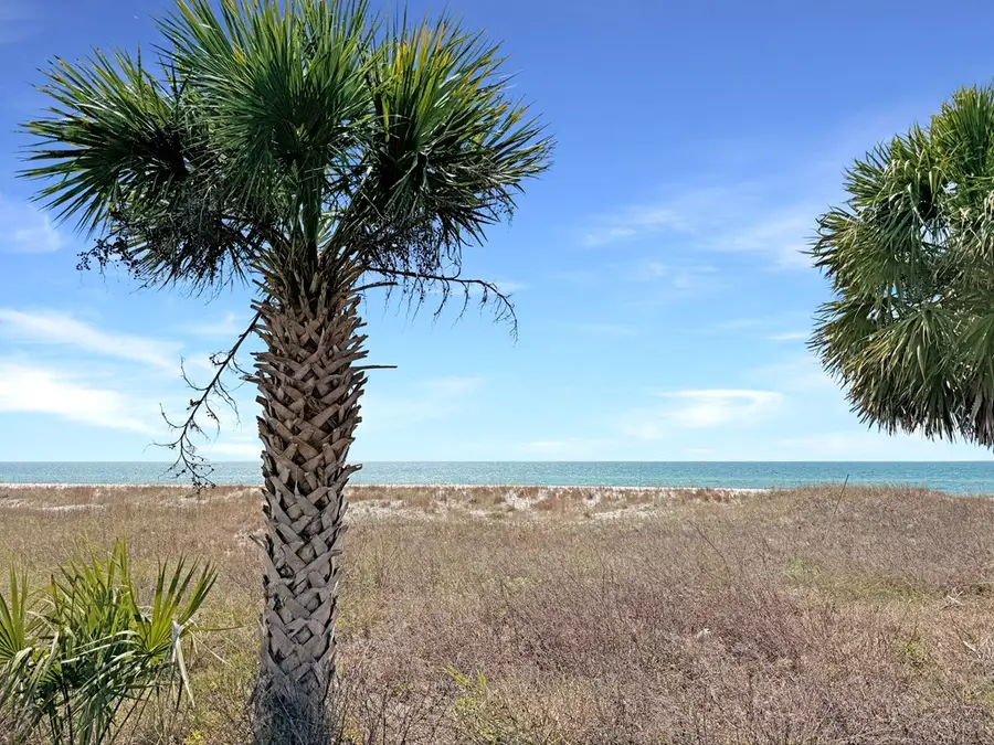 9229 Hwy 98 W, Port Saint Joe, FL 32456 - #2