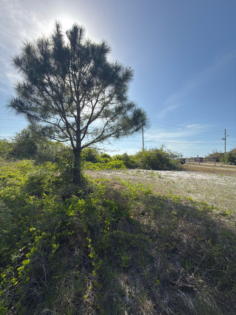TBD Cape San Blas Rd, Cape San Blas, FL 32456 - #3