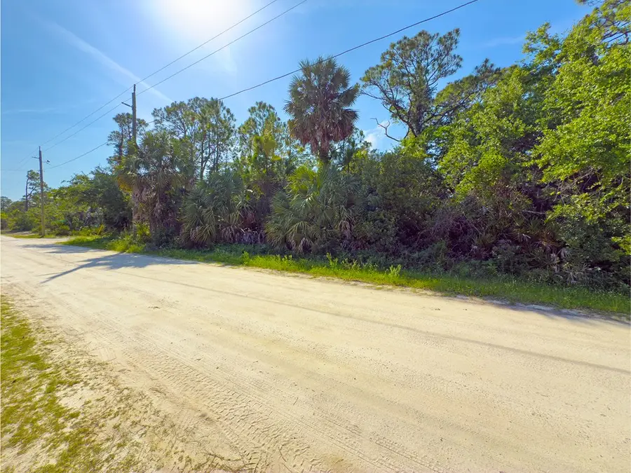 1149 W Pine Ave, Saint George Island, FL 32328 - #2