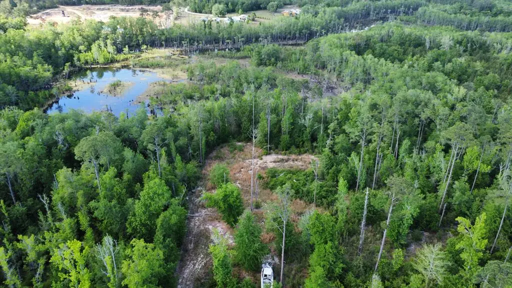 147 Faison Rd, Wewahitchka, FL 32465 - #1