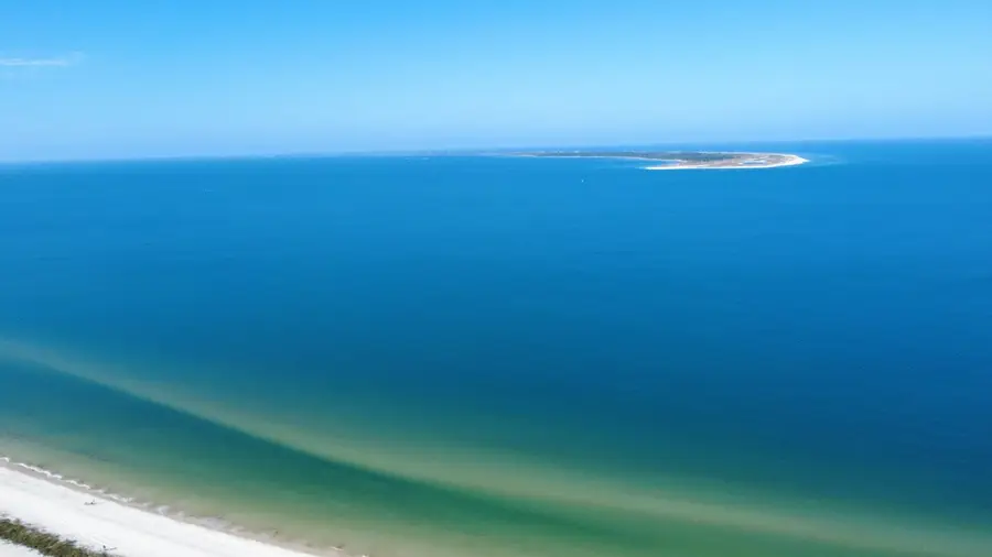 6620 Hwy 98 W, Port Saint Joe, FL 32456 - #3