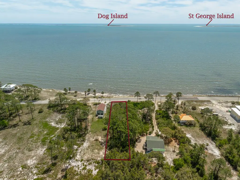 2167 Hwy 98, Carrabelle, FL 32322 - #1