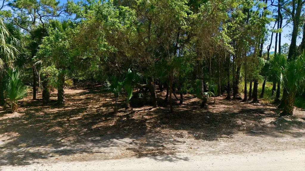 840 E Pine Ave, Saint George Island, FL 32328 - #1