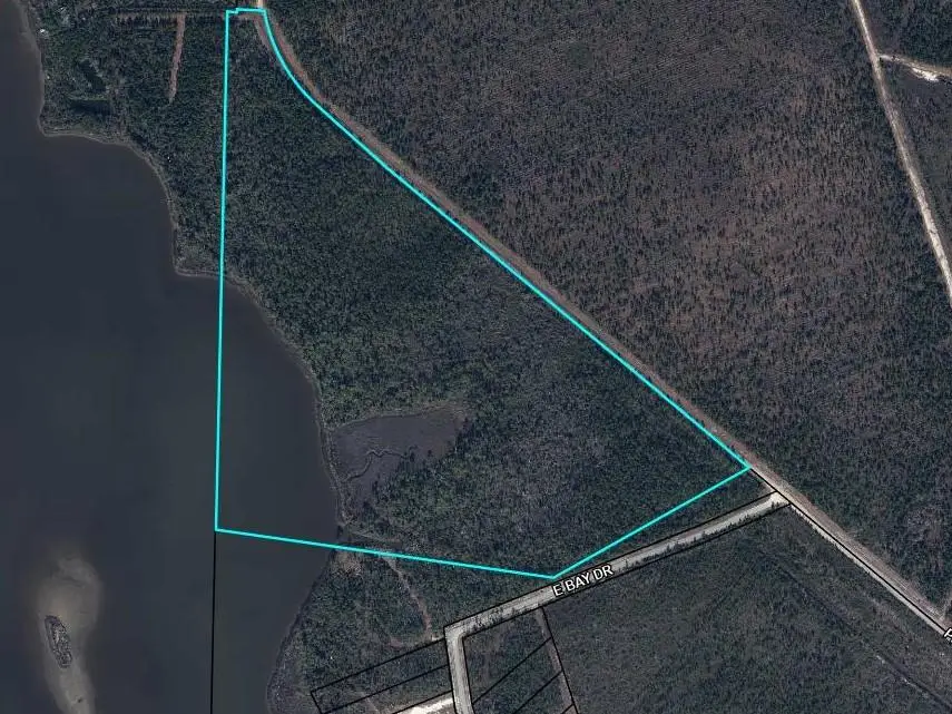 TBD Pleasant Rest Rd, Wewahitchka, FL 32465 - #1