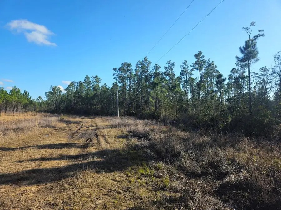 TBD Pleasant Rest Rd, Wewahitchka, FL 32465 - #3