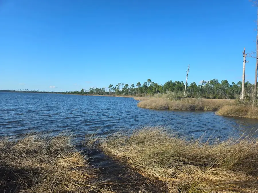 TBD Pleasant Rest Rd, Wewahitchka, FL 32465 - #2