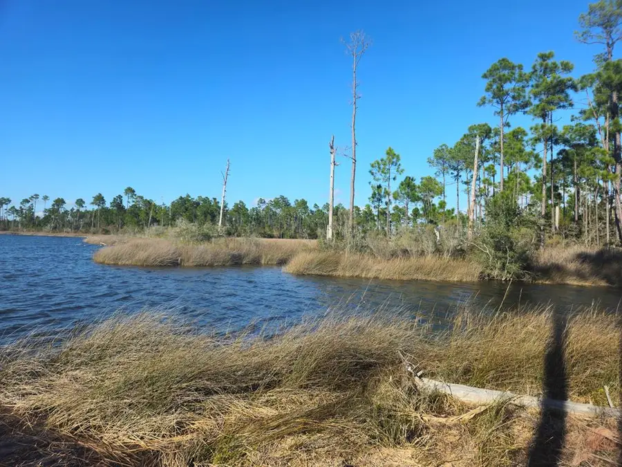 TBD Pleasant Rest Rd, Wewahitchka, FL 32465 - #3