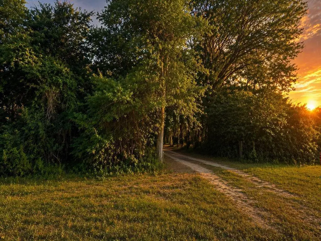 708 Cr 386 N, Wewahitchka, FL 32465 - #1