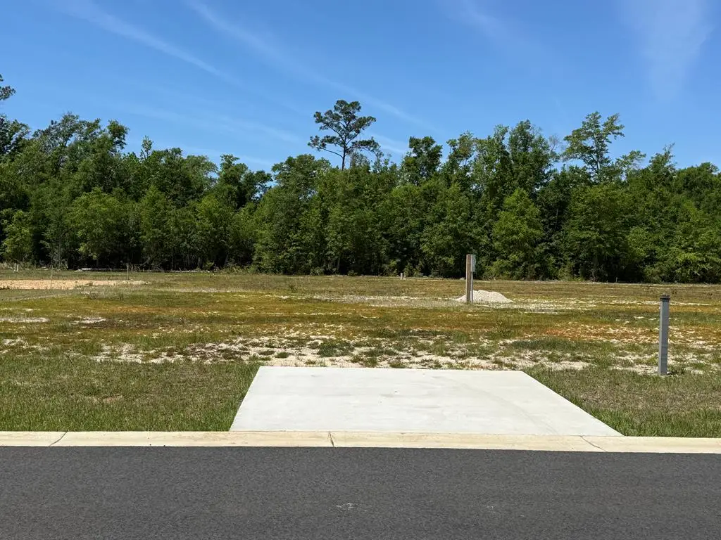 115 Kiera Ct, Wewahitchka, FL 32465 - #1