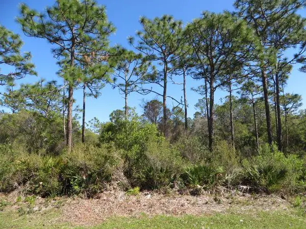332 Frank Mckamey Way, Carrabelle, FL 32322