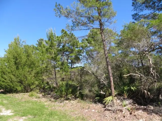 332 Frank Mckamey Way, Carrabelle, FL 32322 - #3