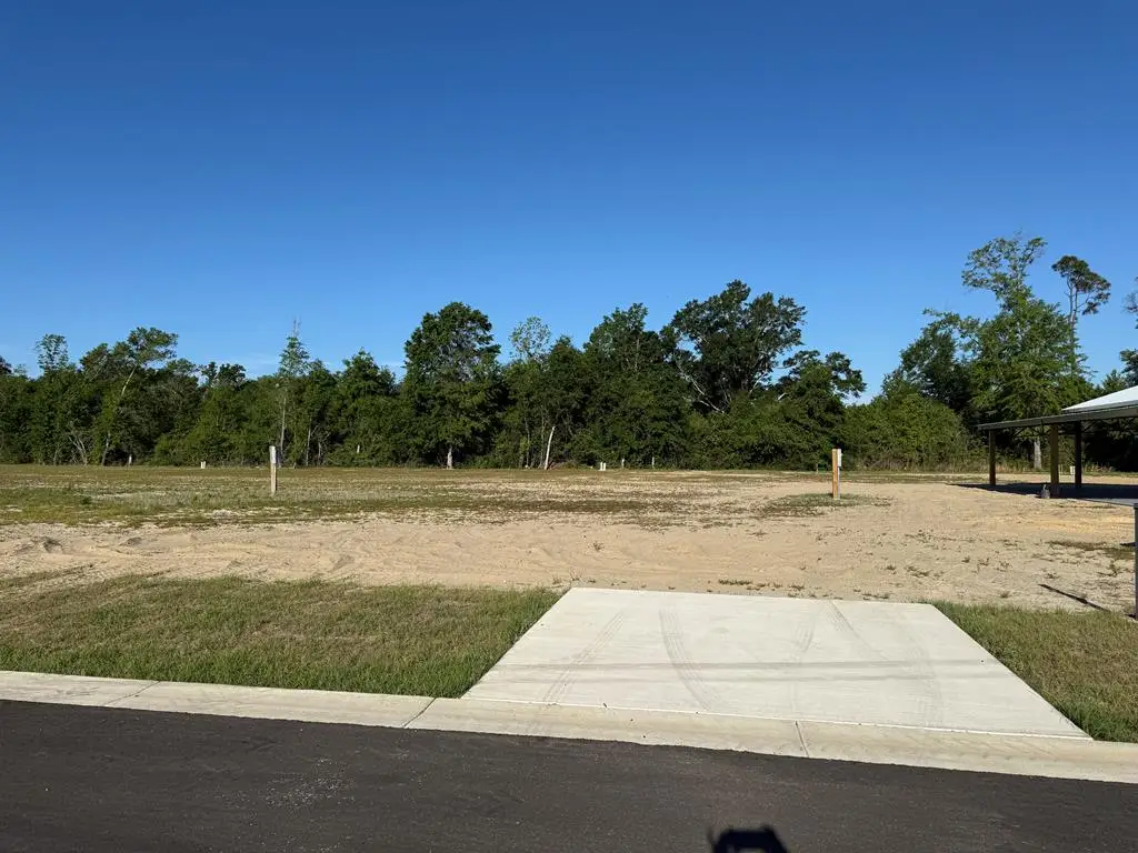 193 Kiera Ct, Wewahitchka, FL 32465 - #1