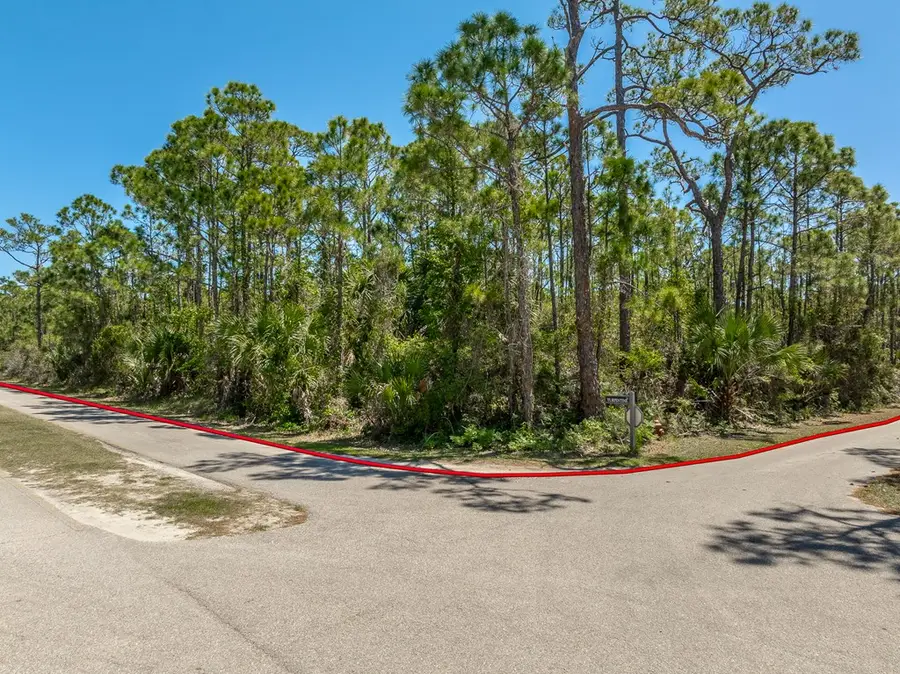2001 Turpentine Trl, Saint George Island, FL 32328 - #2