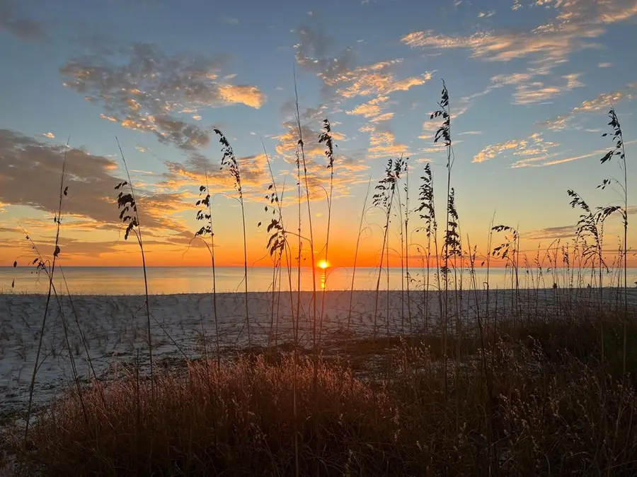 481 Basswood Rd, Port Saint Joe, FL 32456 - #3