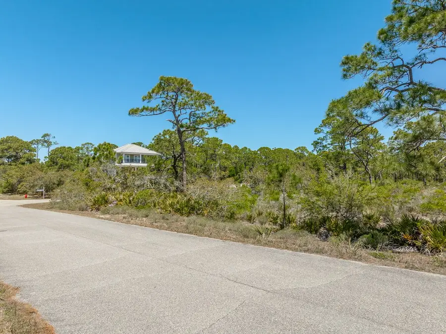 1400 Dogwood Dr, Saint George Island, FL 32328 - #2