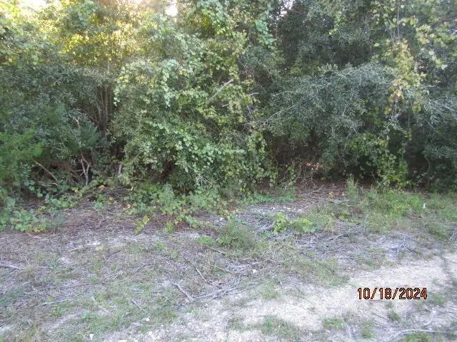 158 Kansas St, Carrabelle, FL 32322 - #2