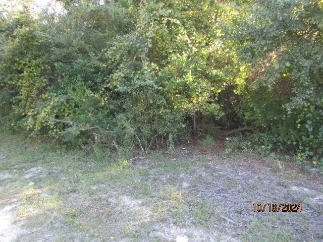 158 Kansas St, Carrabelle, FL 32322 - #3