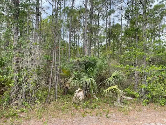 2144 Dolphin Ct, Saint George Island, FL 32328 - #2
