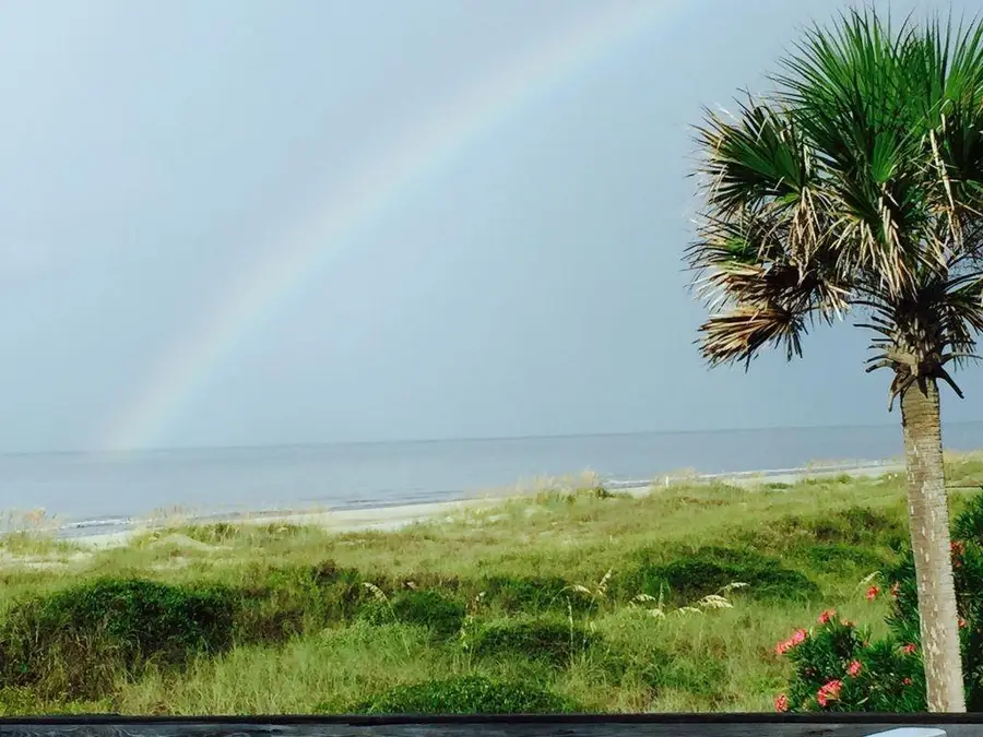 2144 Dolphin Ct, Saint George Island, FL 32328 - #3